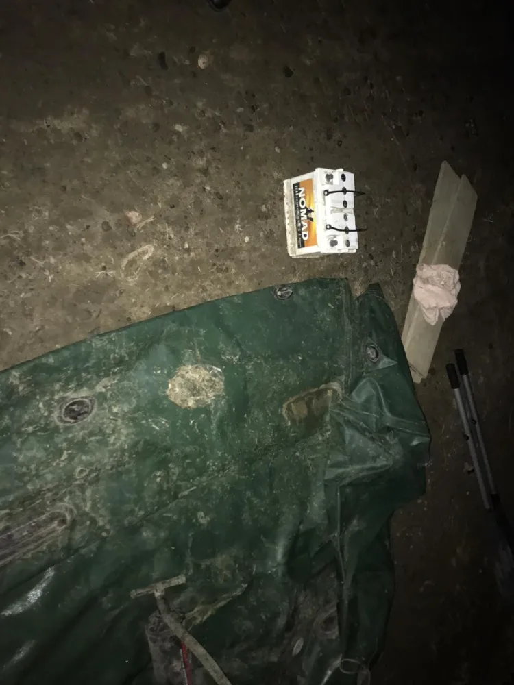 Elektrik cərəyanı ilə balıq ovlayan şəxslər - CƏZALANDI - FOTO