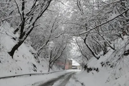 Şimal-qərb bölgəsinə güclü qar yağıb, yollar buz bağlayıb - FOTOSESSİYA