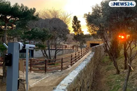 Bakı Zooparkında möhtəşəm yeniliklər – - NƏHƏNG AKVARİUMUN ÜZƏRİNDƏ RESTORAN TİKİLİR