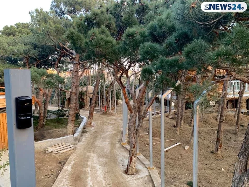 Bakı Zooparkında möhtəşəm yeniliklər – - NƏHƏNG AKVARİUMUN ÜZƏRİNDƏ RESTORAN TİKİLİR