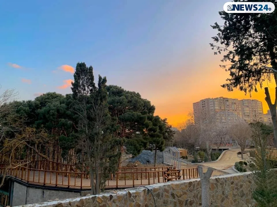 Bakı Zooparkında möhtəşəm yeniliklər – - NƏHƏNG AKVARİUMUN ÜZƏRİNDƏ RESTORAN TİKİLİR