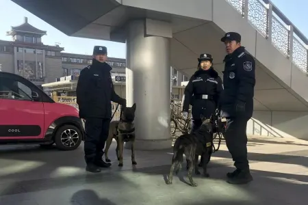 Silahlanıb 600 rulon - TUALET KAĞIZI OĞURLADILAR