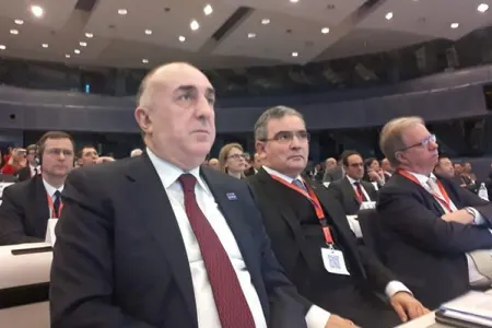Elmar Məmmədyarov Brüsseldə konfransda iştirak edib