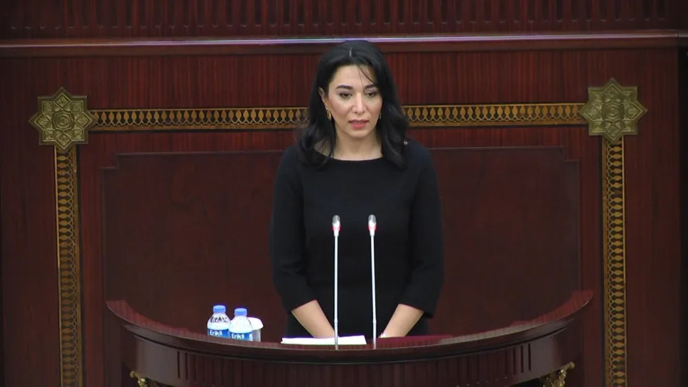 Ombudsman beynəlxalq təşkilatlara - BƏYANAT ÜNVANLADI