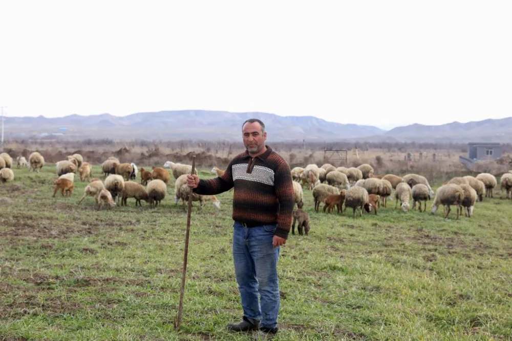 Cocuq Mərcanlıda 25 ailə öz biznesinə - BAŞLADI - FOTO