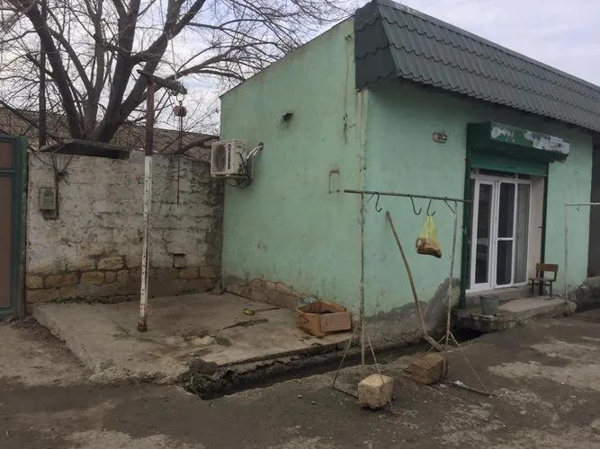Yevlaxda qanunsuz heyvan kəsimi məntəqəsi - AŞKARLANDI - FOTO