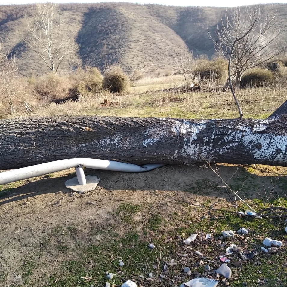 Güclü külək minə yaxın evi - QAZSIZ QOYDU - FOTO