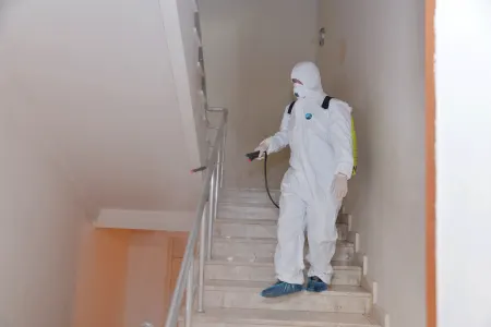 160 məktəbdə dezinfeksiya işləri aparılıb -BŞTİ