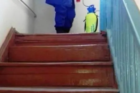 Bağçalarda dezinfeksiya işləri aparılırmı?