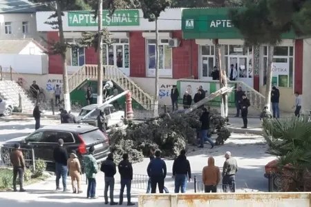 Azərbaycanda ağac avtomobillərin üstünə aşdı - – FOTO