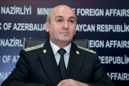 Eldar Sultanov: "Aysel Ələkbərzadə feminist hərəkatının qurbanıdır"