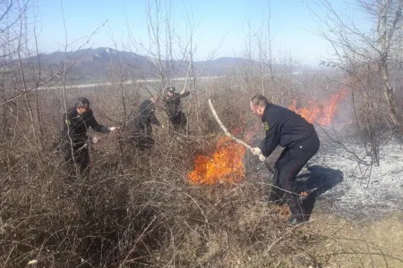 Qubada meşə sahəsi - YANDI - FOTO