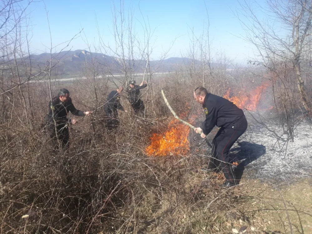 Qubada meşə sahəsi - YANDI - FOTO