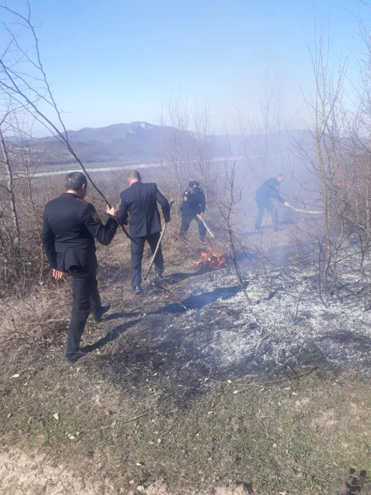 Qubada meşə sahəsi - YANDI - FOTO