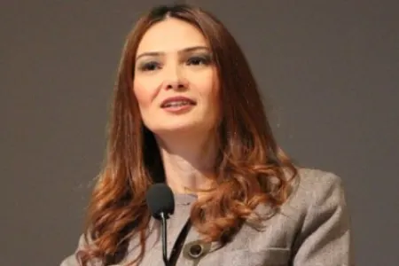 Qənirə Paşayeva Milli Məclisdə vacib təkliflərlə - ÇIXIŞ ETDİ- VİDEO