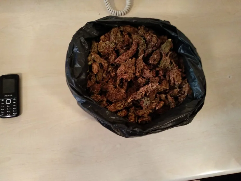 Ağdaşda narkotik alverçisi - TUTULDU - FOTO