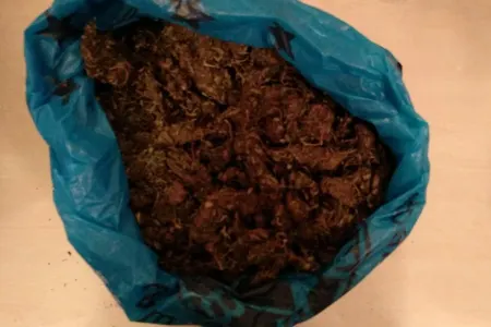 Ağdaş sakinlərindən 2 kiloqramdan artıq - NARKOTİK GÖTÜRÜLDÜ