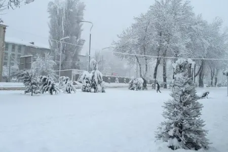 Qaxa 15 sm qar yağıb - FAKTİKİ HAVA