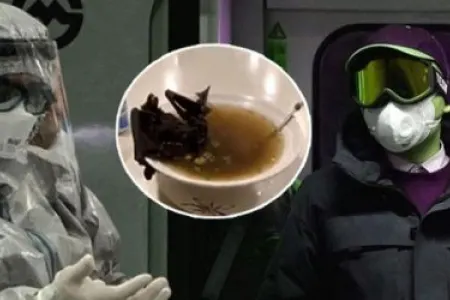 Elm adamları açıqladı: Koronavirus bu yolla yayılıb – - ŞOK DETALLAR