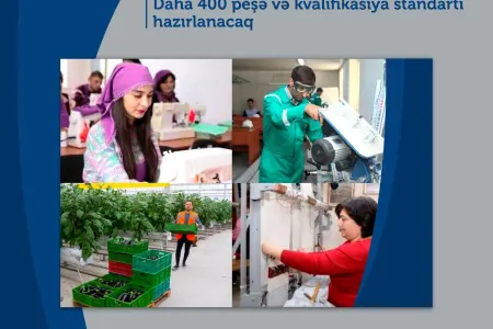 Daha 400 peşə və kvalifikasiya standartı hazırlanacaq - NAZİRLİK