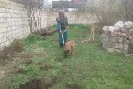 ANAMA daxil olan müraciəti - ARAŞDIRDI