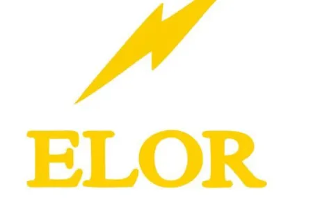 Elor Group MMC fonda 5 min manat vəsait köçürüb