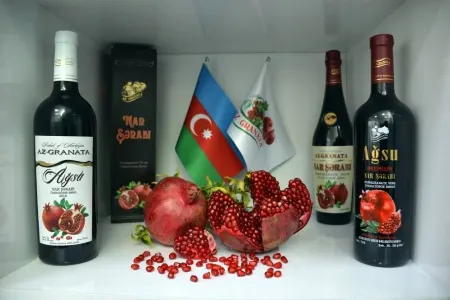 "Az-Qranata” koronavirusla mübarizəyə 2 mln. manat - AYIRDI