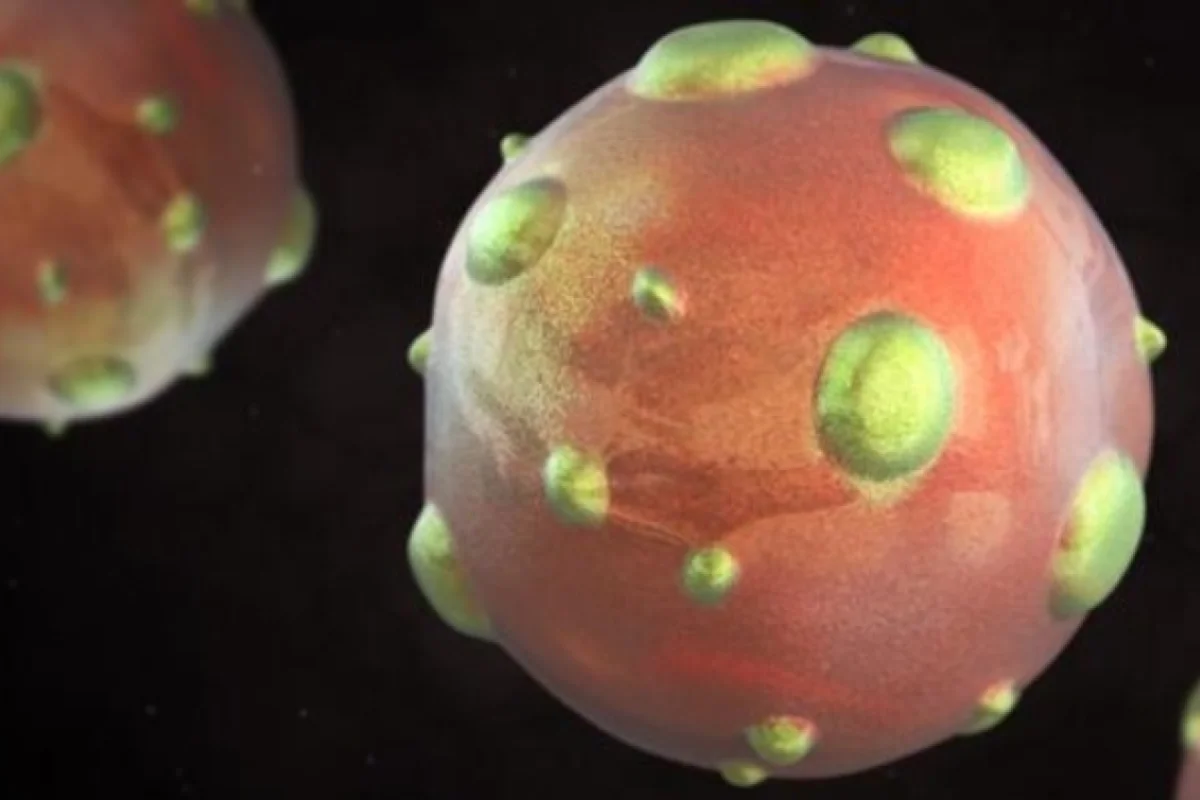 Koronavirusdan sonra Çində daha bir virus tapıldı - -Ölən var