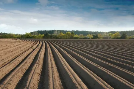 "Pay torpaqları” ilə bağlı mühüm qərar