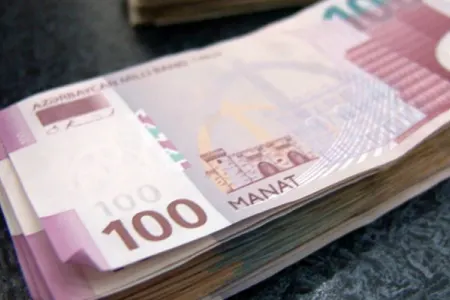 Fonda edilən ianə bir günə 11 milyon artdı