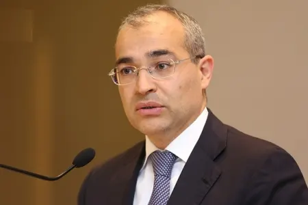 "Dezinfeksiya üçün sprey və gellərin də istehsalına başlanılıb"- - Mikayıl Cabbarov