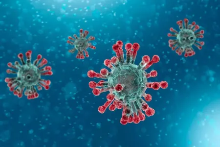 SON DƏQİQƏ: Azərbaycanda daha 78 nəfərdə koronavirus aşkarlandı- - 17 nəfərin vəziyyəti ağırdı