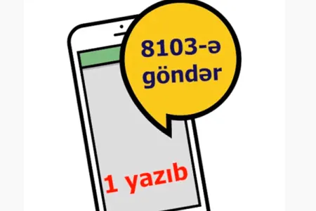 Küçəyə çıxmaq üçün SMS-lə icazə almağın qaydası - VİDEO