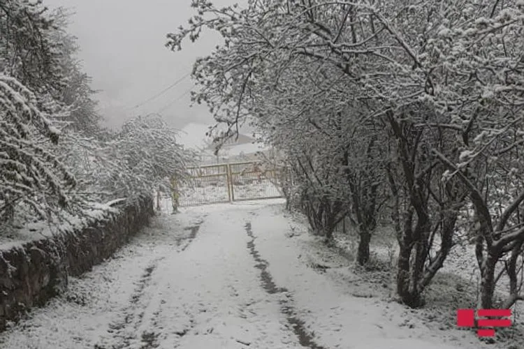 Lerik və Yardımlıya - QAR YAĞIB - FOTO