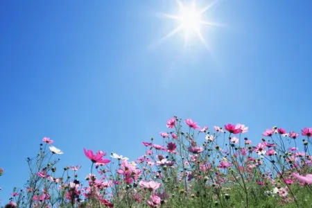 Havanın temperaturu 20 dərəcəyə - YÜKSƏLƏCƏK