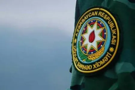 Narkotik vasitənin dövlət sərhədindən keçirilməsinin - QARŞISI ALINDI