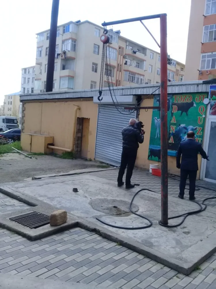Qanunsuz heyvan kəsiminin qarşısını almaq üçün reydlər davam etdirilir- - FOTO