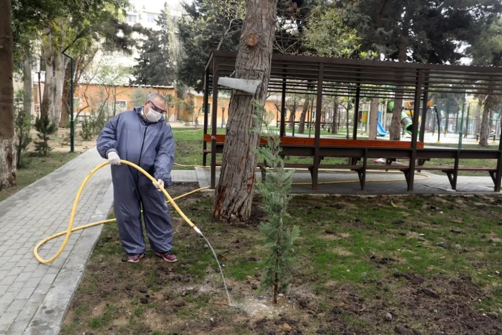 Daha 2 min nəfər ödənişli ictimai işlərə - cəlb olundu