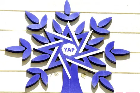 YAP koronavirus epidemiyasına qarşı mübarizə çərçivəsində - iri layihələrə müəlliflik edir