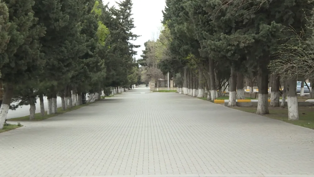 Sumqayıtda polis vətəndaşlara - MASKA PAYLADI - FOTO