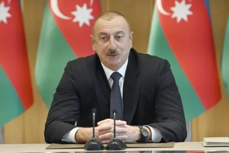 Azərbaycan və Litva prezidentləri videobağlantı ilə - DANIŞDILAR