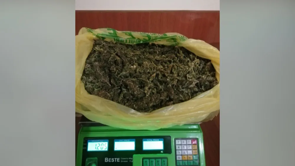 Ağdaş sakinlərindən 1 kiloqramdan artıq - NARKOTİK GÖTÜRÜLDÜ - VİDEO