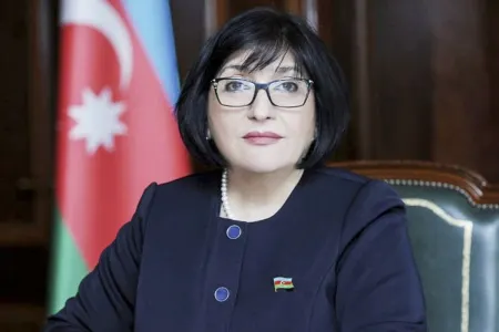 Sahibə Qafarova Azərbaycanın Türk PA-da nümayəndə heyətinin rəhbəri seçildi- - TƏRKİB MƏLUM OLDU