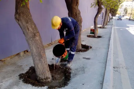ETSN ağacların dibini betonlayan şirkəti - CƏZALANDIRDI