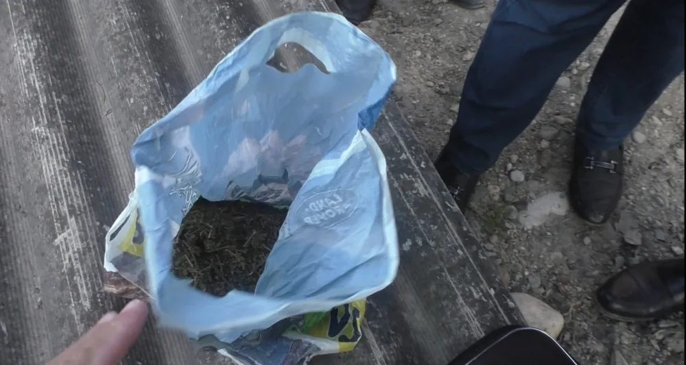 Həyətində narkotik əkən keçmiş məhkum - TUTULDU - FOTO