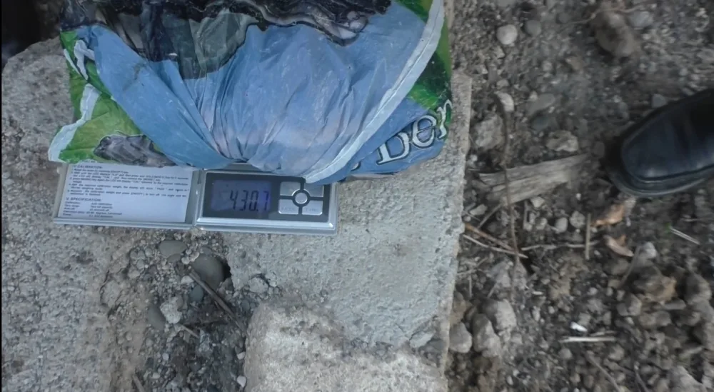 Həyətində narkotik əkən keçmiş məhkum - TUTULDU - FOTO