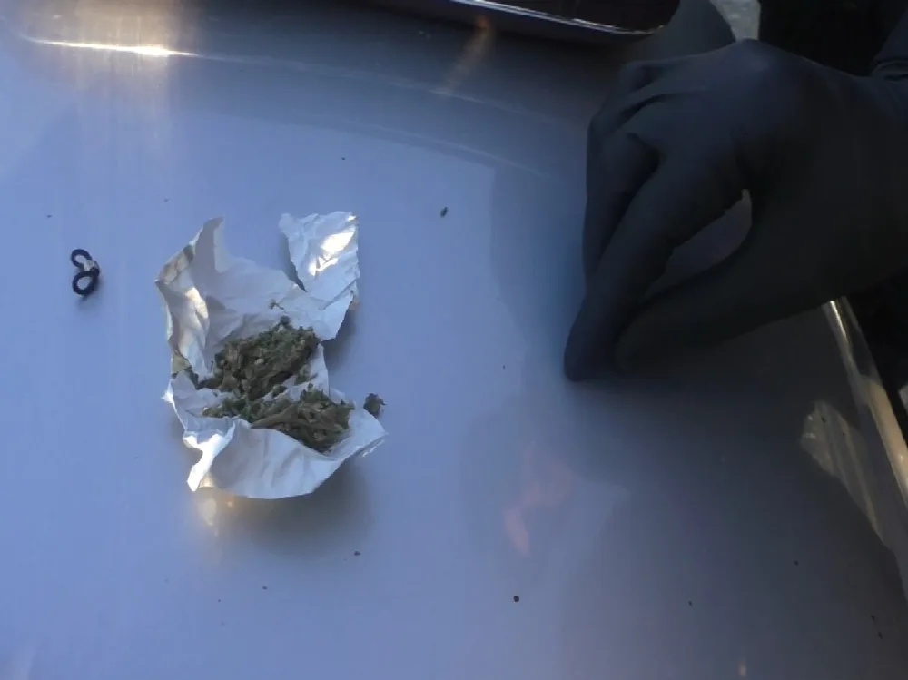 Həyətində narkotik əkən keçmiş məhkum - TUTULDU - FOTO