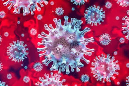 Virus inkişaf - EDİR....