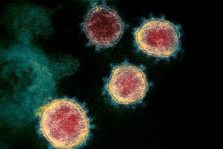 Koronavirus müxtəlif yollarla - YAYILIR