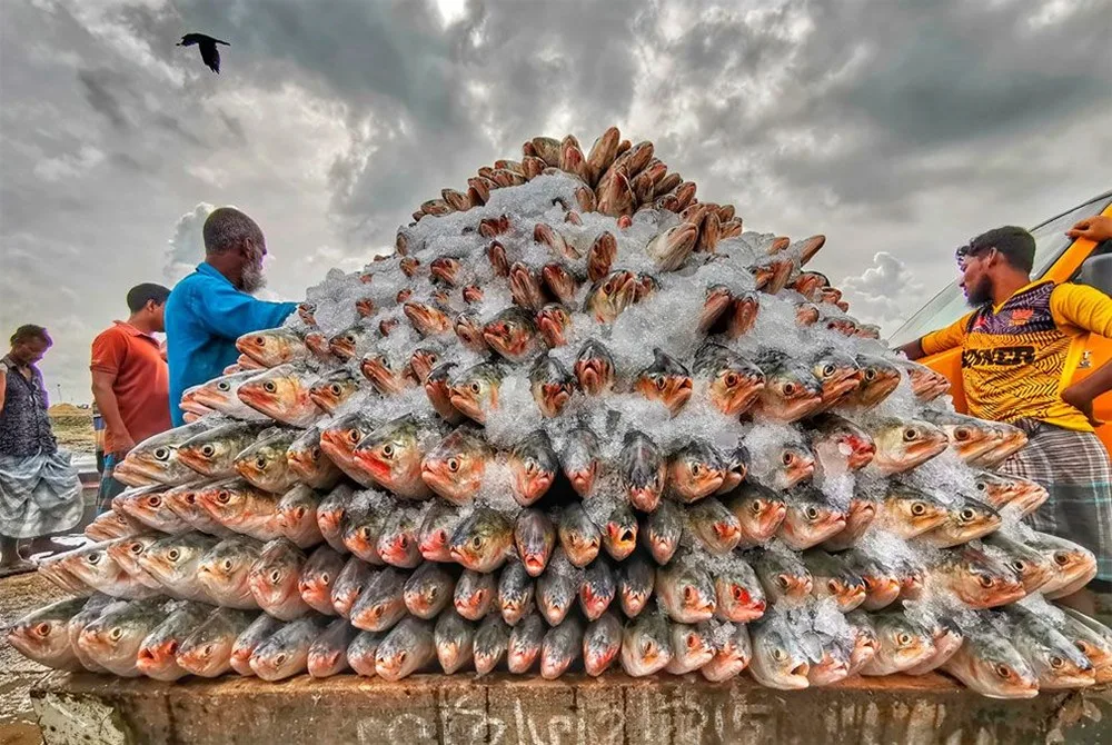 İlin ən yaxşı yemək fotoqrafları seçildi - FOTO